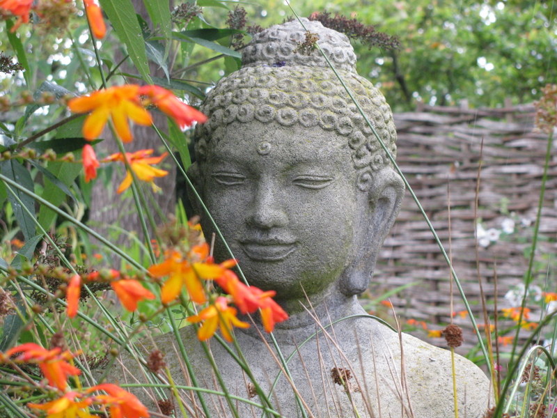 buddha pic